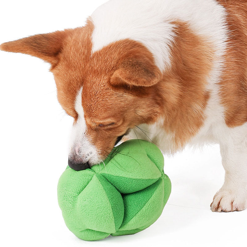 Juguete de Golosinas para Entrenar y Estimular la Alimentación de tu Mascota