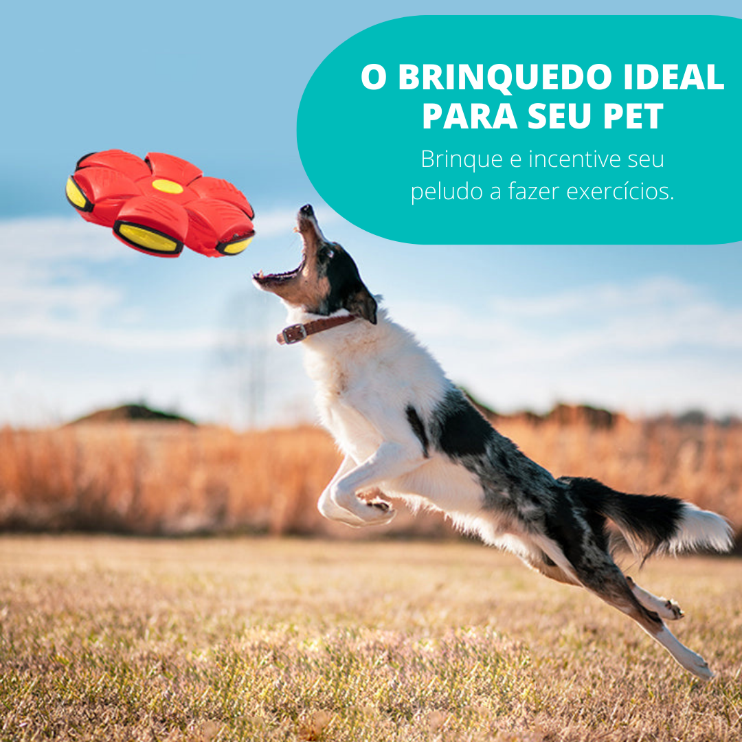 Pelota Voladora Para Perros