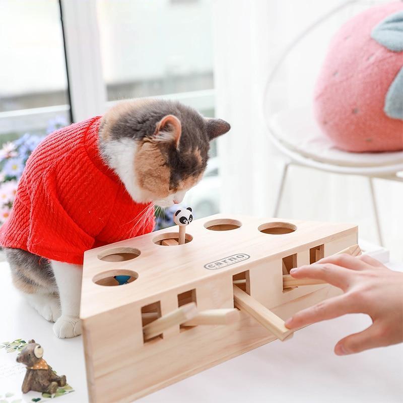 Juguete Interactivo Para Gatos - Caja Para Gatos