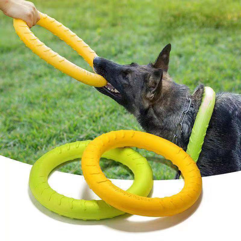 Juguete Mordedor Para Perro - Disco De Entrenamiento