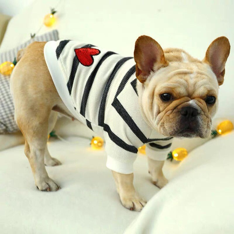 Sudadera Pet Love Para Perro y Gato