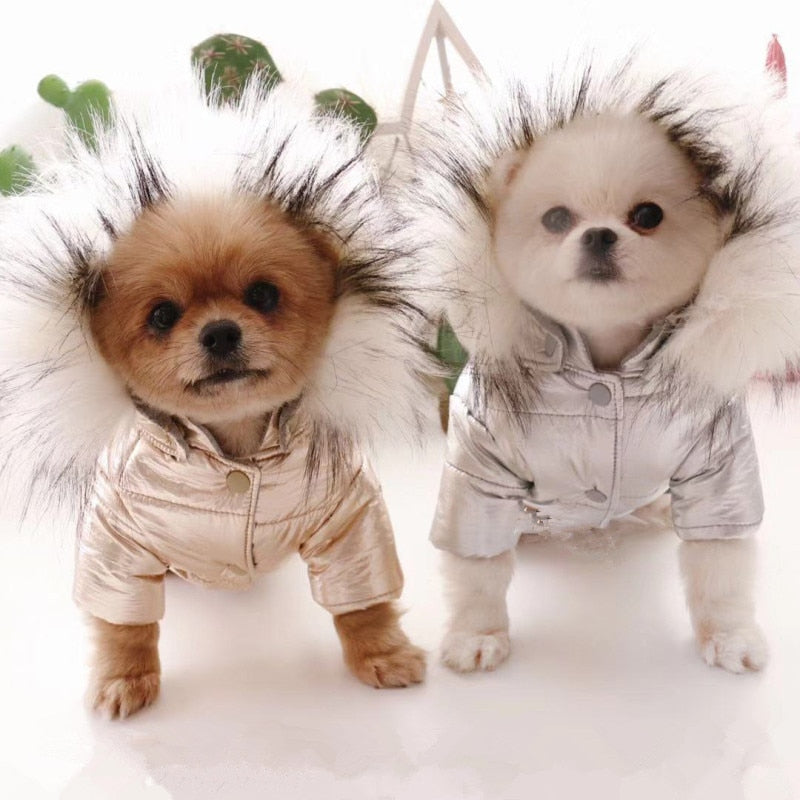 Chaqueta Puffer Para Perro y Gato