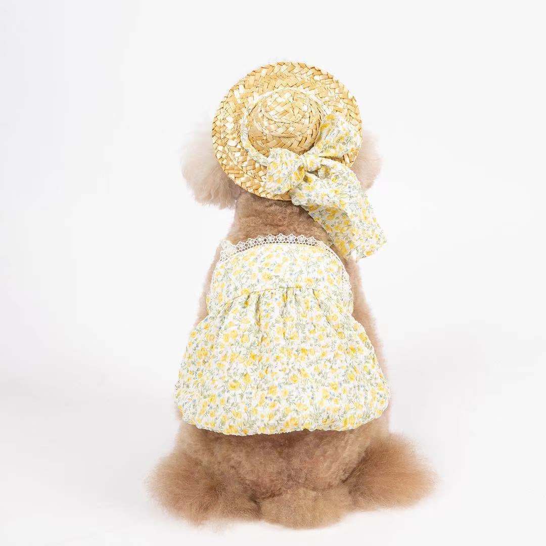 Look Verano Para Mascotas con Sombrero