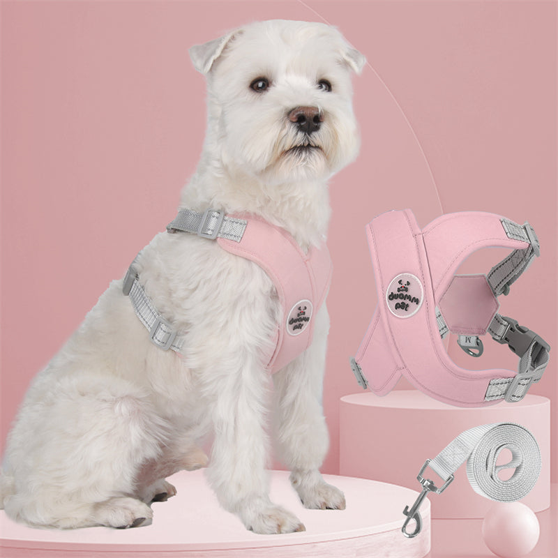 Kit Collar y Pechera Duomm
