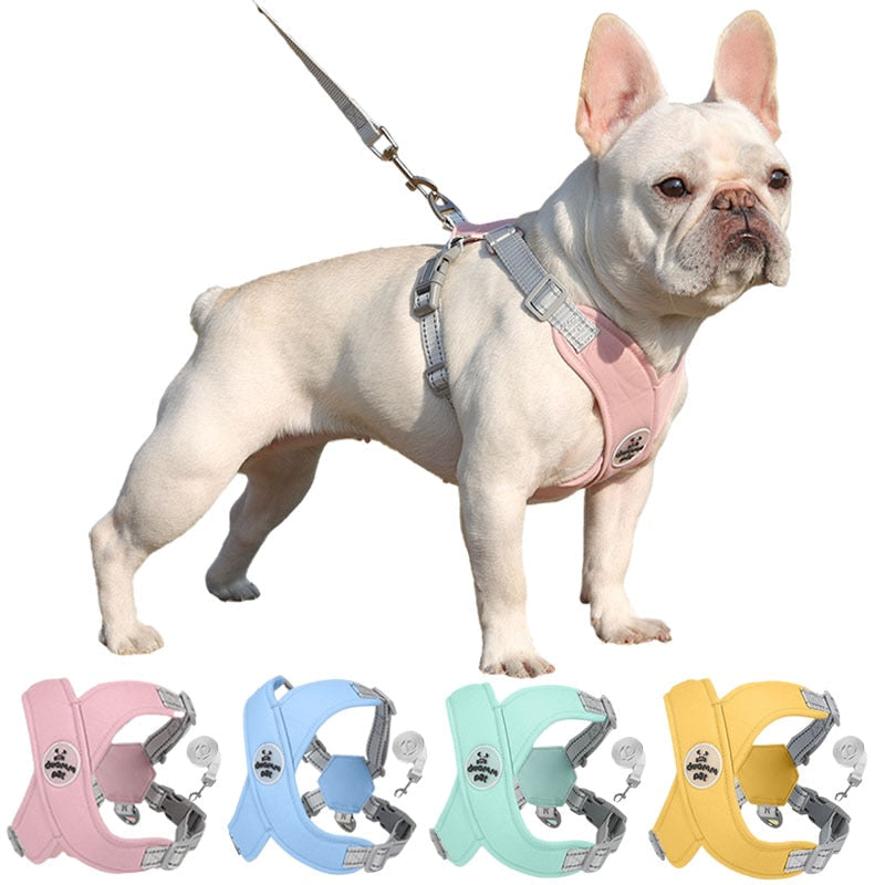 Kit Collar y Pechera Duomm