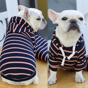 Sudadera Para Perro Estilo Mascota