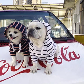 Sudadera Para Perro Estilo Mascota