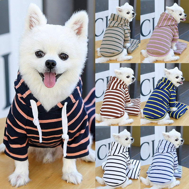 Sudadera Para Perro Estilo Mascota