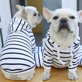 Sudadera Para Perro Estilo Mascota