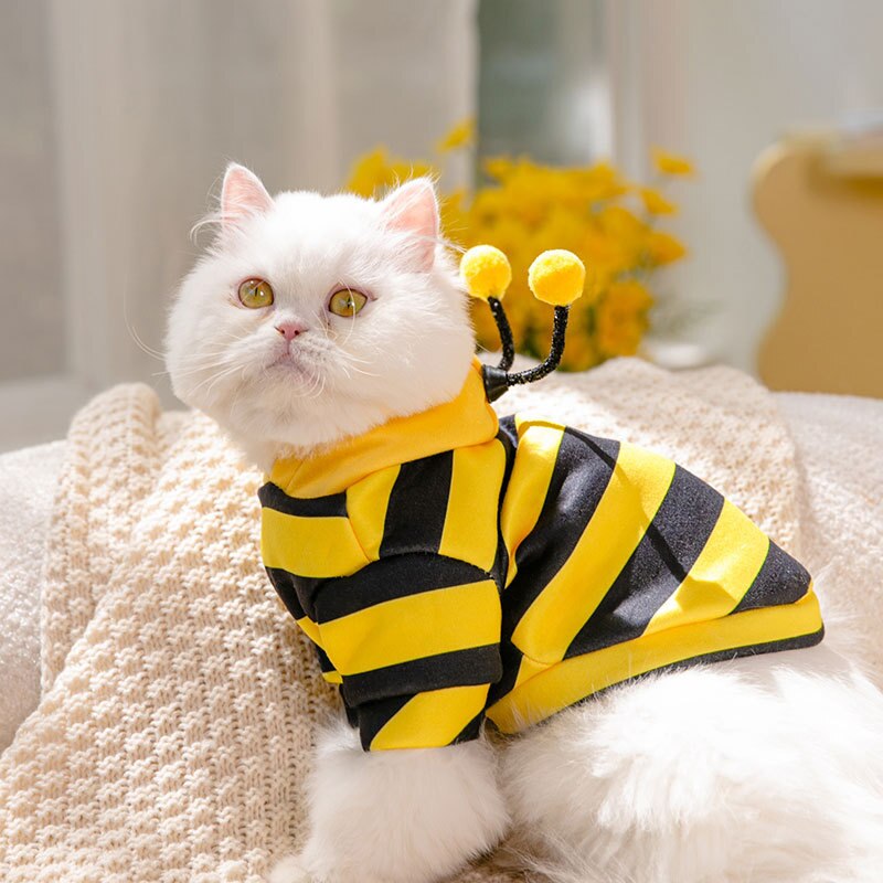 Sudadera Bee