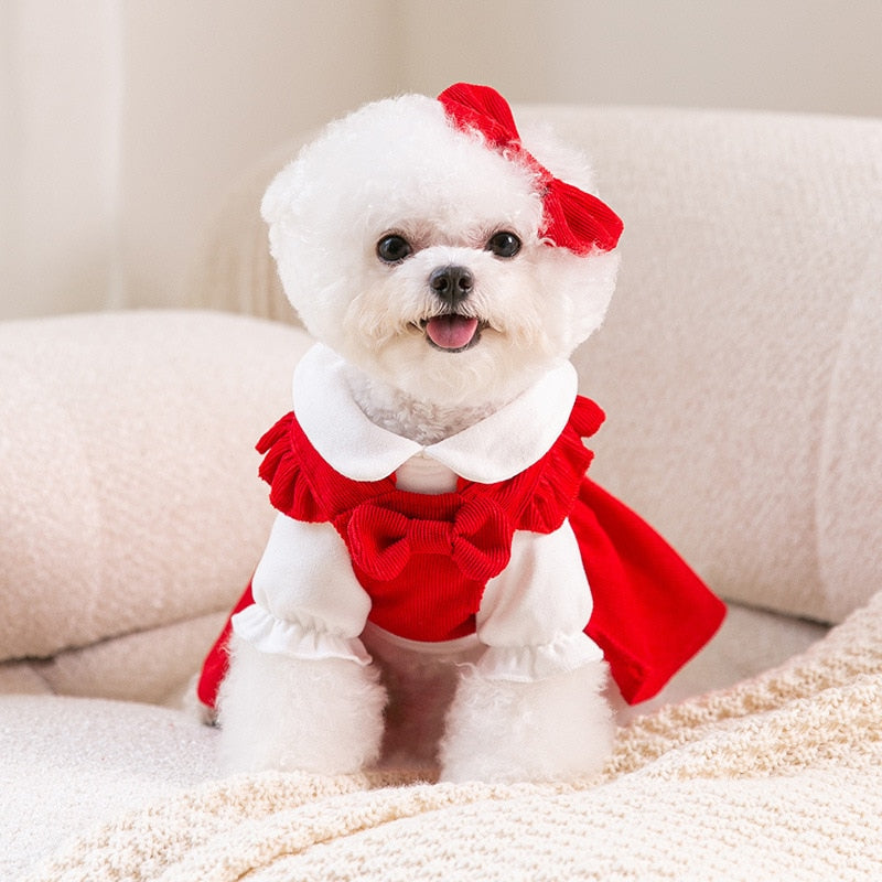 Look Princesa Mia - Vestido 3 en 1 para Perros