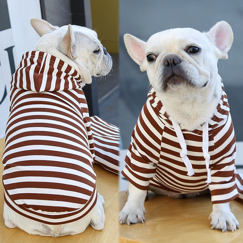 Sudadera Para Perro Estilo Mascota