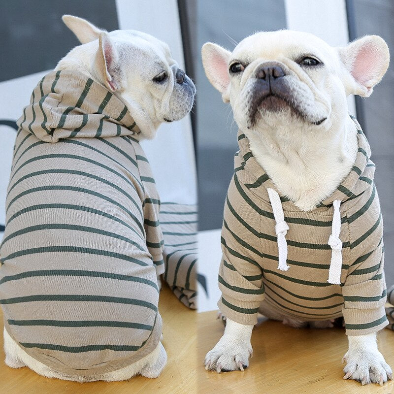 Sudadera Para Perro Estilo Mascota