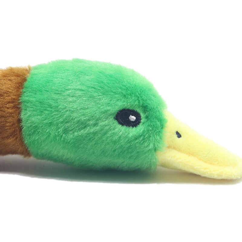 Osito De Peluche Para Mascotas En Forma De Pato