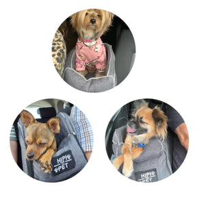 Asiento Para Mascotas en Auto