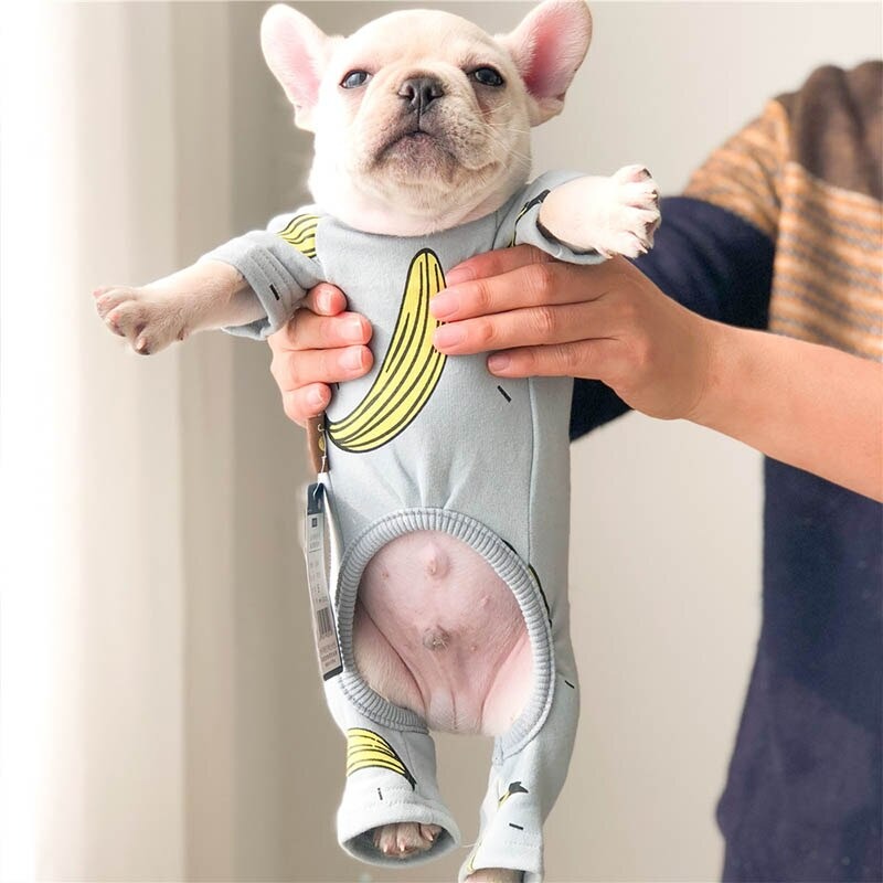 Mono Bananita Para Perro