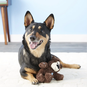 Juguete de Peluche Kong Wild Bear Indestructible
