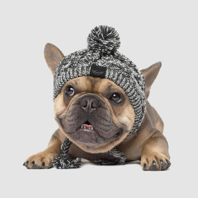 Gorro Para Mascotas Para Perros Y Gatos