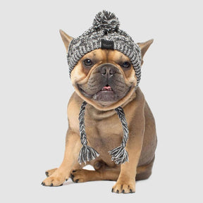 Gorro Para Mascotas Para Perros Y Gatos