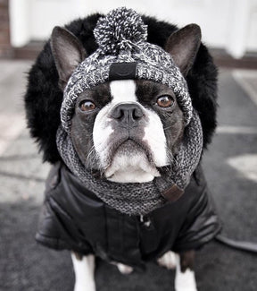 Gorro Para Mascotas Para Perros Y Gatos