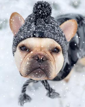 Gorro Para Mascotas Para Perros Y Gatos