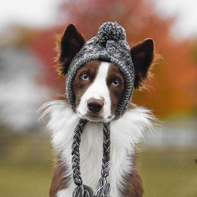 Gorro Para Mascotas Para Perros Y Gatos