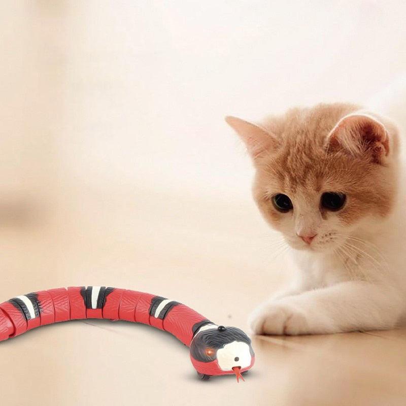 Cobra Inteligente Para Gatos